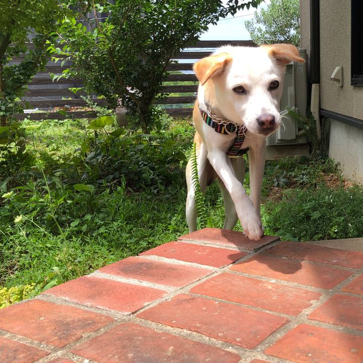 E83aab7f 2b0f 46d0 ac72 4ee796b85b2d 1630625964646