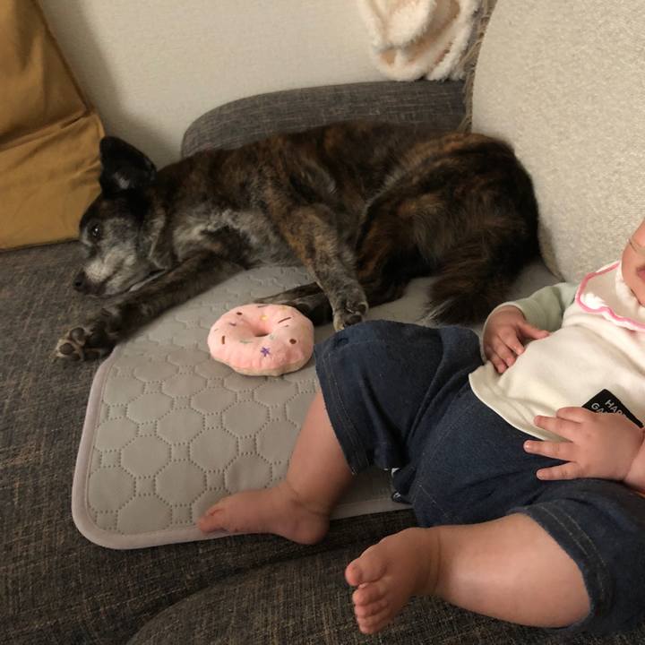 E83afaf3 03a3 4861 8c47 dce83ea6f70e 1712104643443