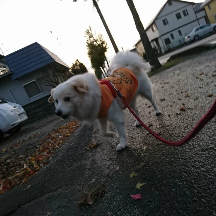 E83afddf 745b 4601 bc87 9203565cf21f 1510175538343