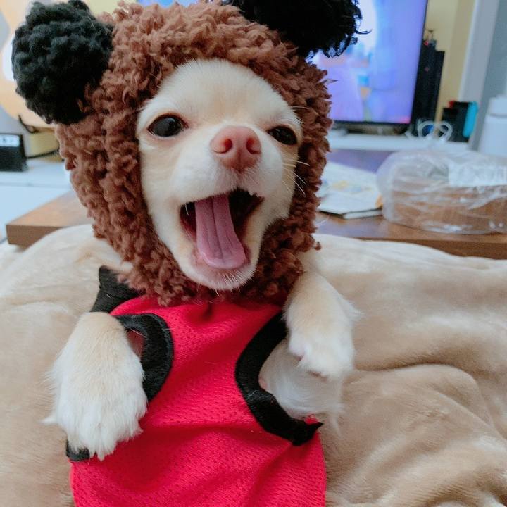 E83b0966 a3f0 42d4 9f38 66861929d7b1 1612855289129