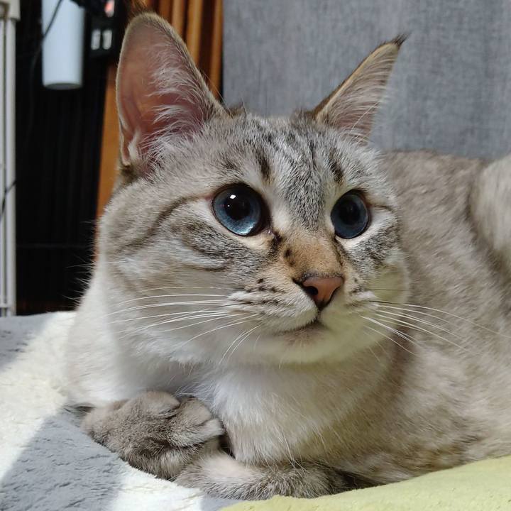 E83b32e3 99a7 439f 93d6 133d9e57a6e8 1671620448982