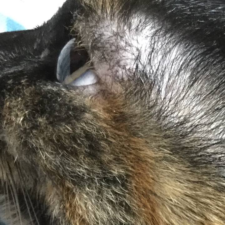 E83b43b4 6acf 4ca1 a62f 21f69b17971a 1601123683124