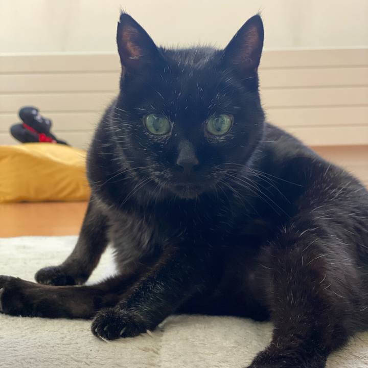 E83b4776 11e7 4498 a005 133d7cf74bb9 1662775159488