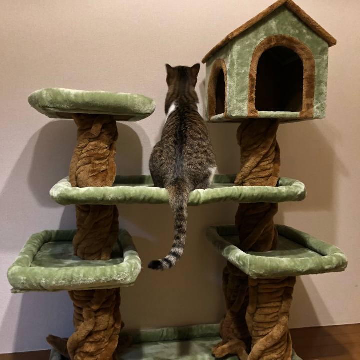 E83b5f09 3e0a 41ac ae62 0b3bed053175 1537596727368