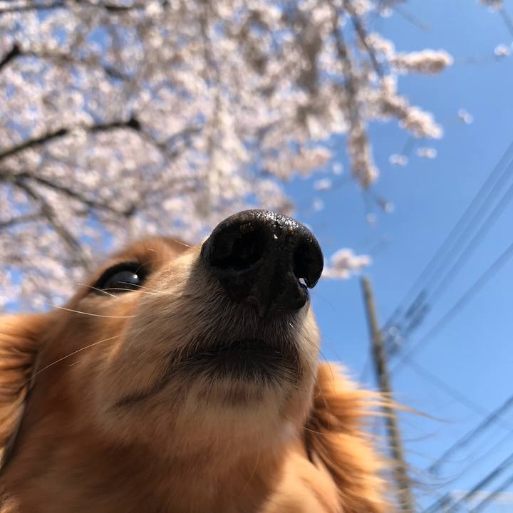 E83b616f e846 4c5a b28e 9658f293e5de 1522384576971