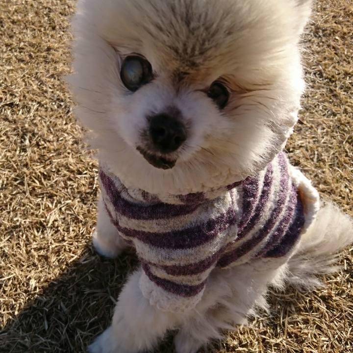 E83baf85 14ba 4db2 9270 d7c5d63abf56 1514416401916