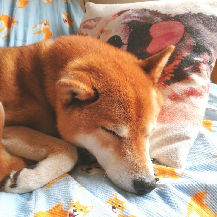 E83bb8ae 365d 4044 a004 a5e0c5848899 1654923040965