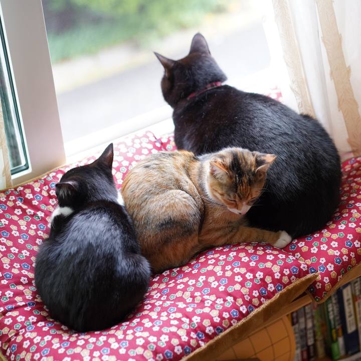 E83bd245 ad6f 4041 866b f5dc978fcf0c 1574587399428