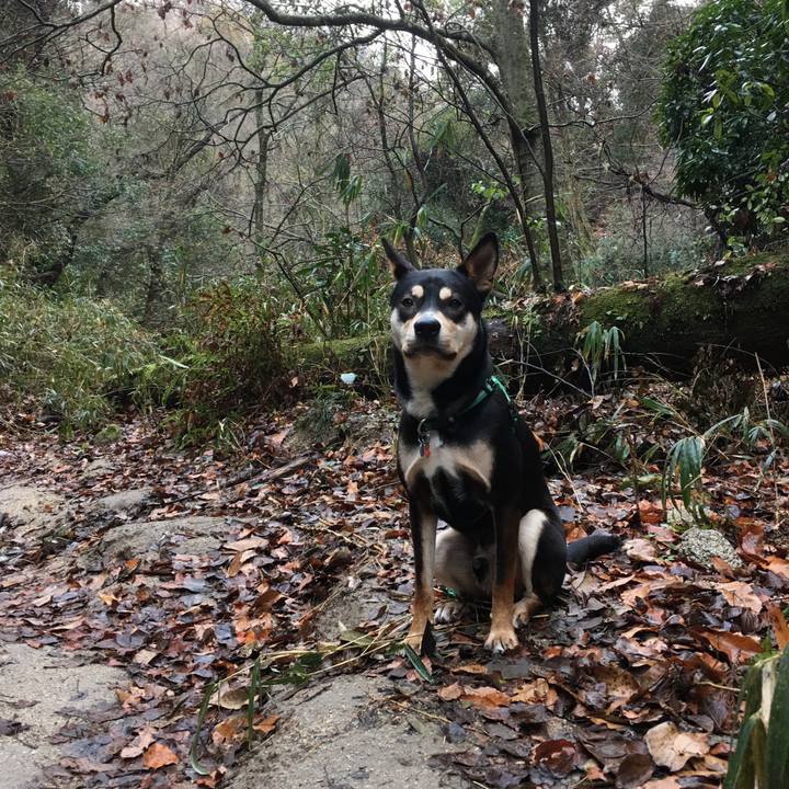 E83be537 e50a 49c4 8e9b e082830d9322 1515379647785