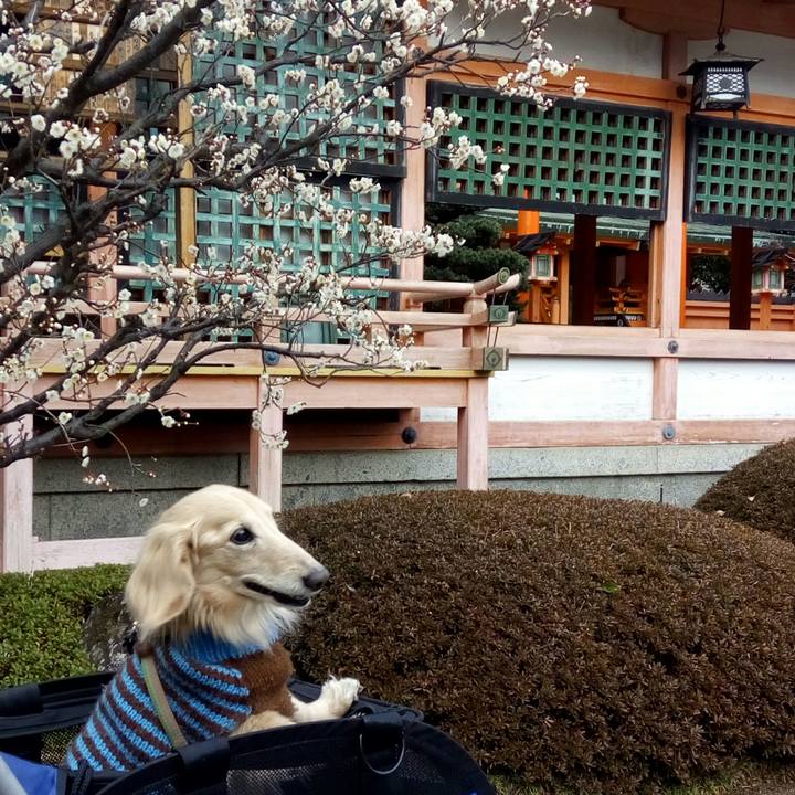 E83c6227 e315 441b 8281 0e9fdbdbcc2d 1549798403795