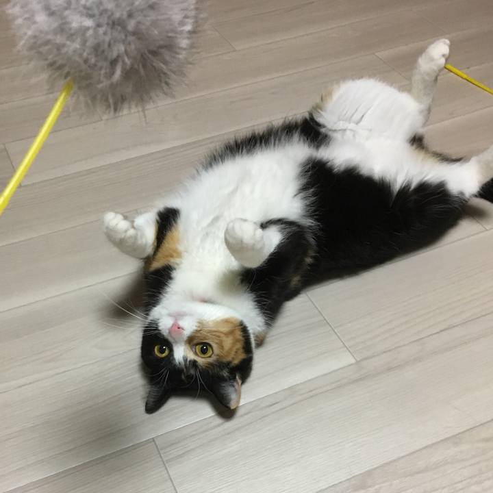 E83c6356 db00 46c8 b88d ca37c8101bdb 1509968764578