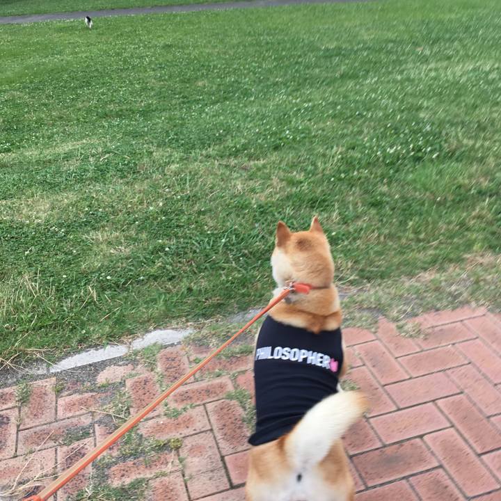 E83cc3a0 ea0b 4f69 a686 81c3dc53d2e8 1613298486399