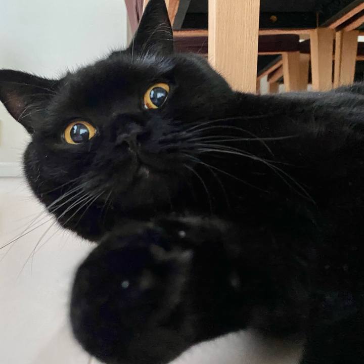 E83ce558 ee0e 4fec a852 742745fe220b 1691190127690