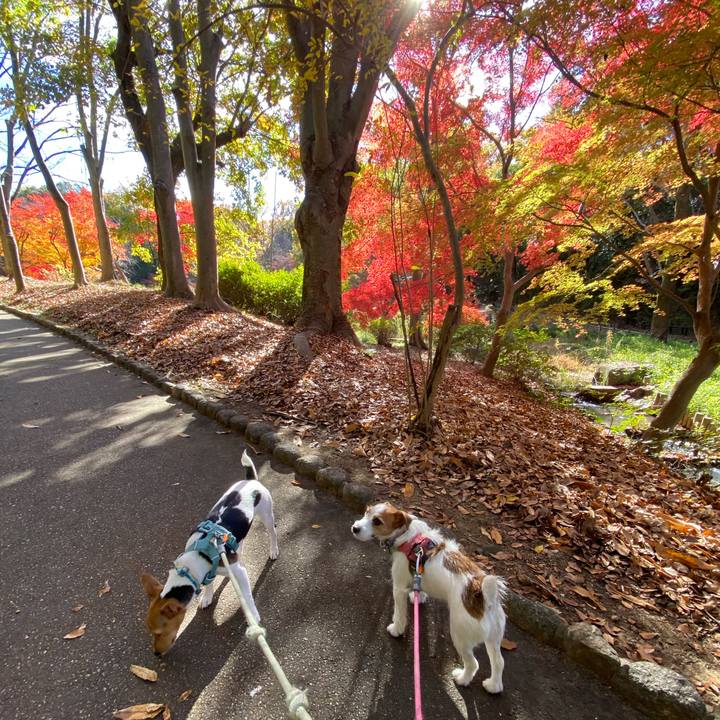 E83d0be1 d227 491a acb2 cfd286610b18 1764402267485