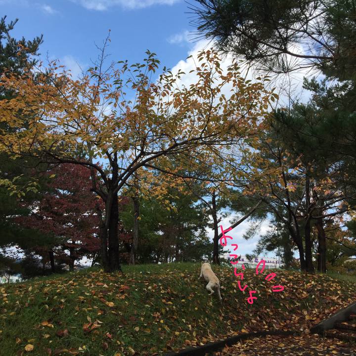 E83d1cb7 5247 4e34 8487 db111fd98c6b 1509879357850