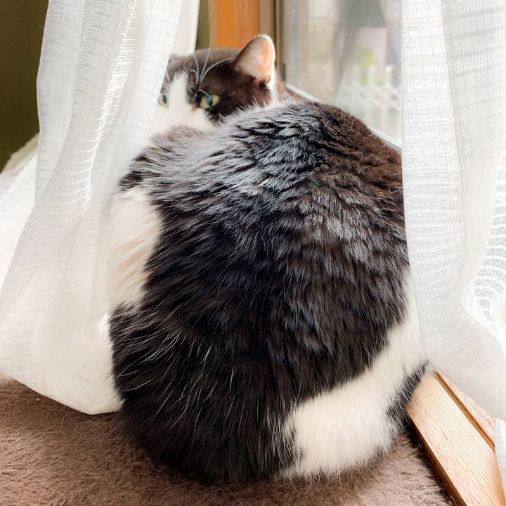 E83d1d7c 179a 42d8 ba70 e89d650147ad 1590975306875