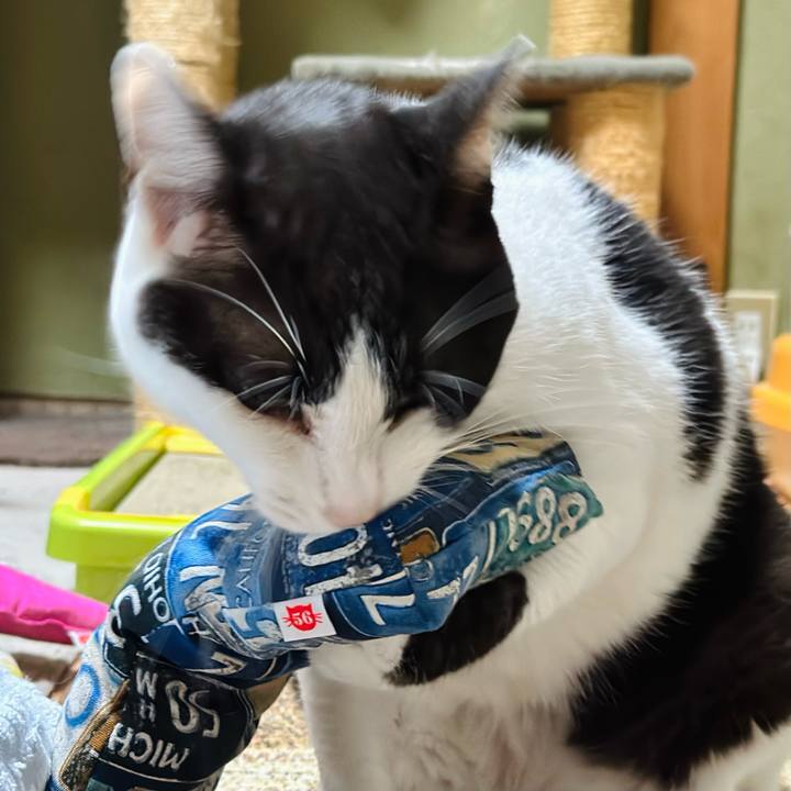 E83d4071 f1a0 4958 ae8d 4c9d0cf3c0c0 1694310512326