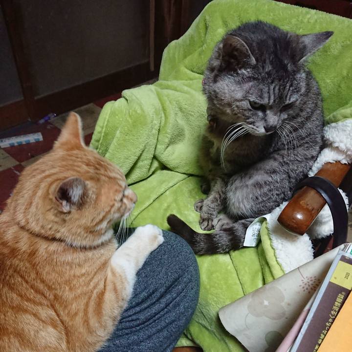 E83d41e5 cad6 4925 909c e4d47449d8c2 1589012788993