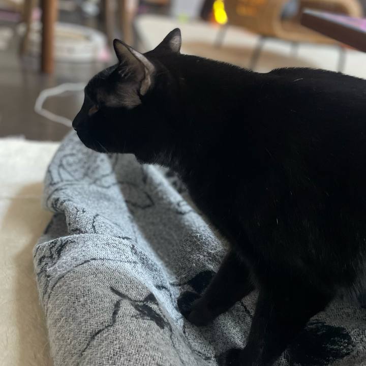 E83d6d0b fd1c 440c 88c9 f95e3e2ec995 1763092655752