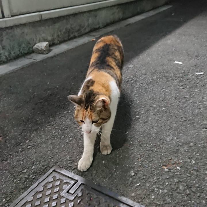 E83d7992 13be 449b b58e 99f35ab5a428 1552987823391