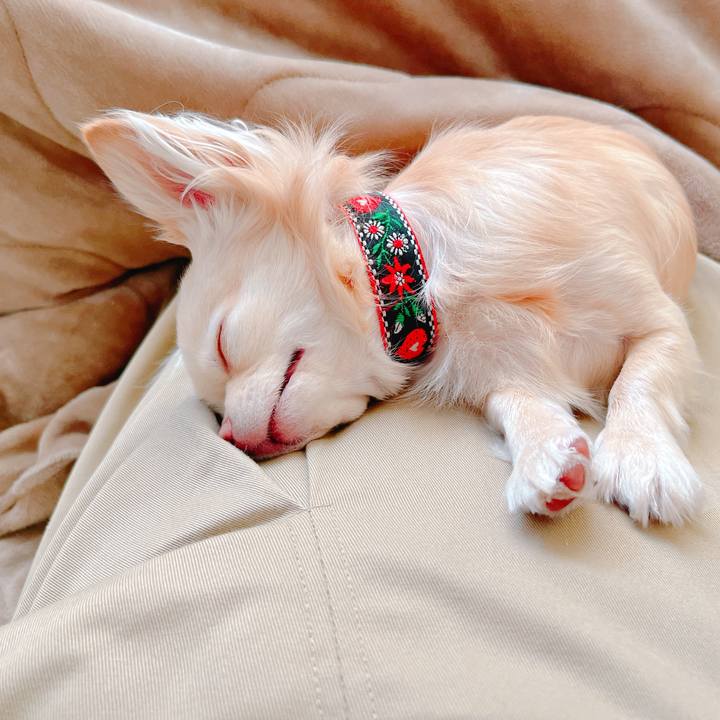 E83d9da4 86f5 44ad 887f 934b21e82127 1649396934526