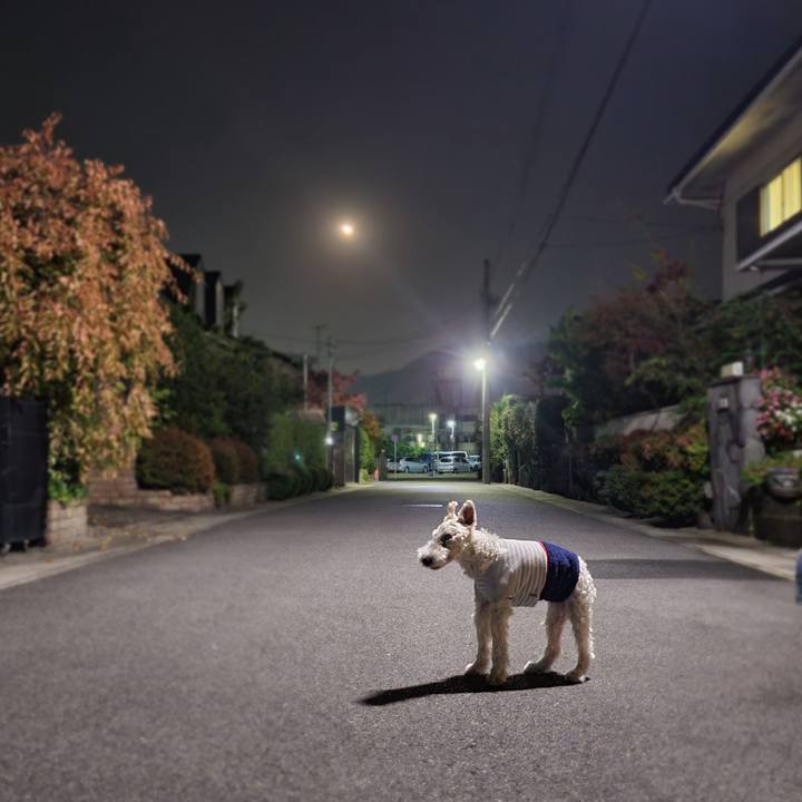 E83da002 de7e 472f 8284 25b961b169d2 1698930099331