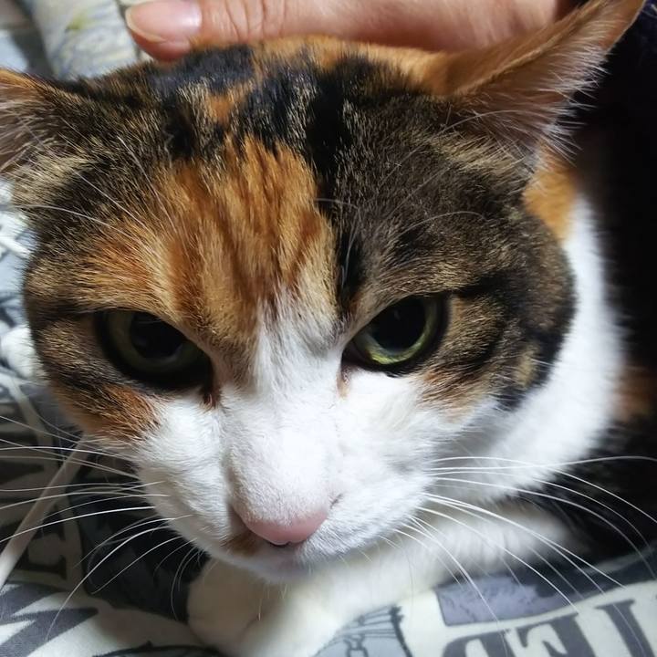 E83dbb60 b12d 4188 9ade de9722bc0e43 1577138126924