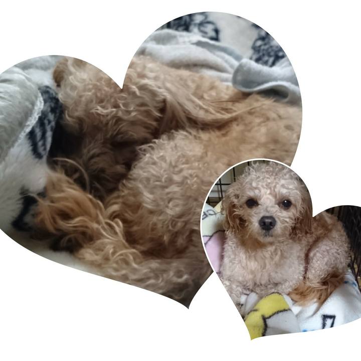 E83dd415 3029 4a1b 9f4d af85e527f6a8 1546086396337