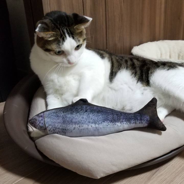 E83e38c9 6b3a 405d 89b6 c2b8358dde32 1574827072504