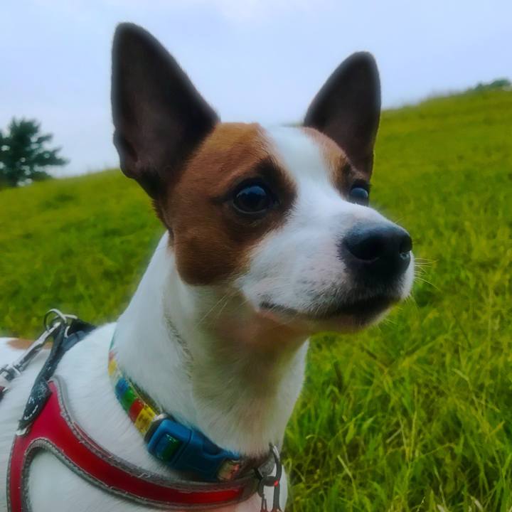 E83e7afb 3491 42b5 aec4 5b8b5406d281 1508325354620