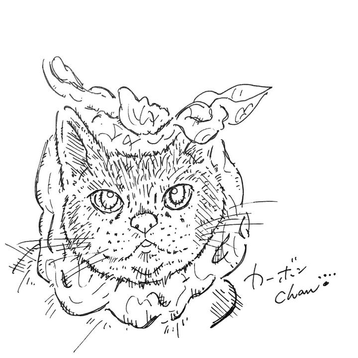 E83e7ba2 2f0a 4620 8db0 1542f7b59c2f 1581784991484