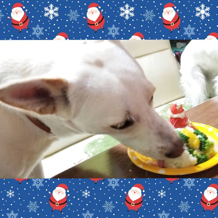 E83e9863 5c00 4eb5 9f40 a350111c8369 1608898355798