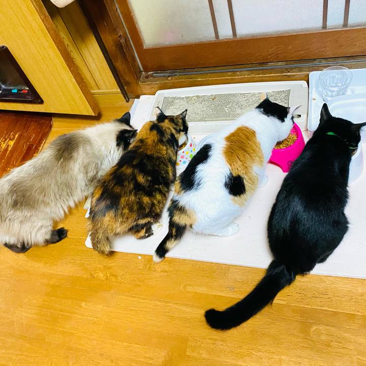 E83ea375 6914 4406 ae8b dc523e4ecbcd 1687473607696