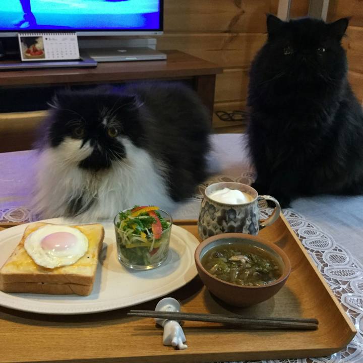 E83eb270 ffee 49be 9c23 1cda0022b28c 1519520474565