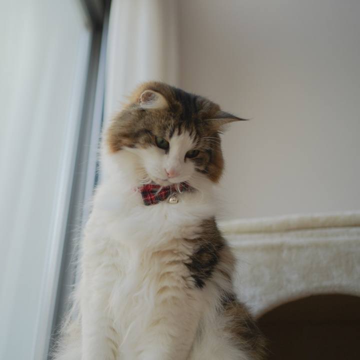 E83ec510 321b 429a 81c7 dde628a164be 1608877793725