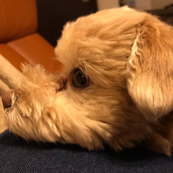 E83ed175 1dd5 42b9 8ead ede3146de70d 1558179137439