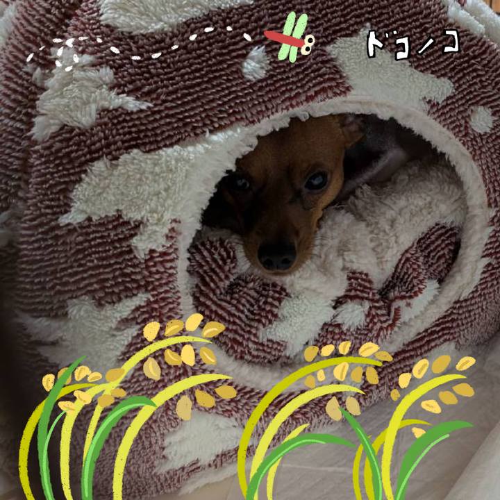 E83eee87 cde4 43da 8d25 c738b4f110c8 1762443300319