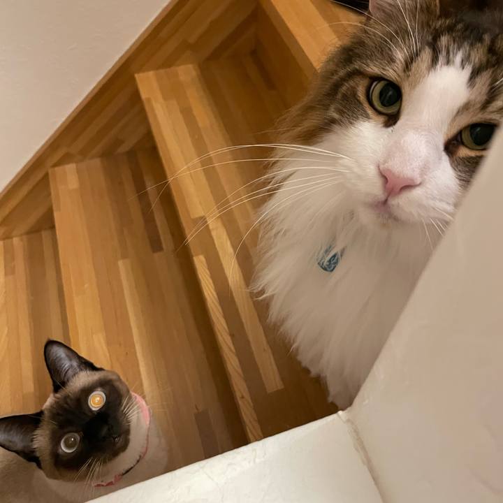 E83f0af3 4c07 4356 9741 4d9ba9fde9e7 1715888820364