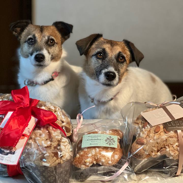 E83f3bb6 9b1b 4c60 bdeb f62485ec58ff 1680943493559