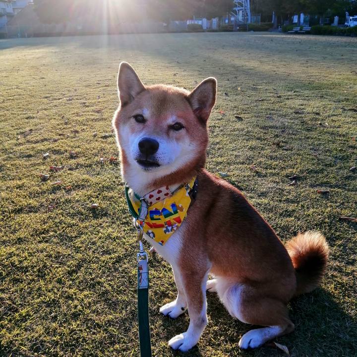 E83f411d 1b8f 4c83 ae9f bfc349df8649 1635494375303