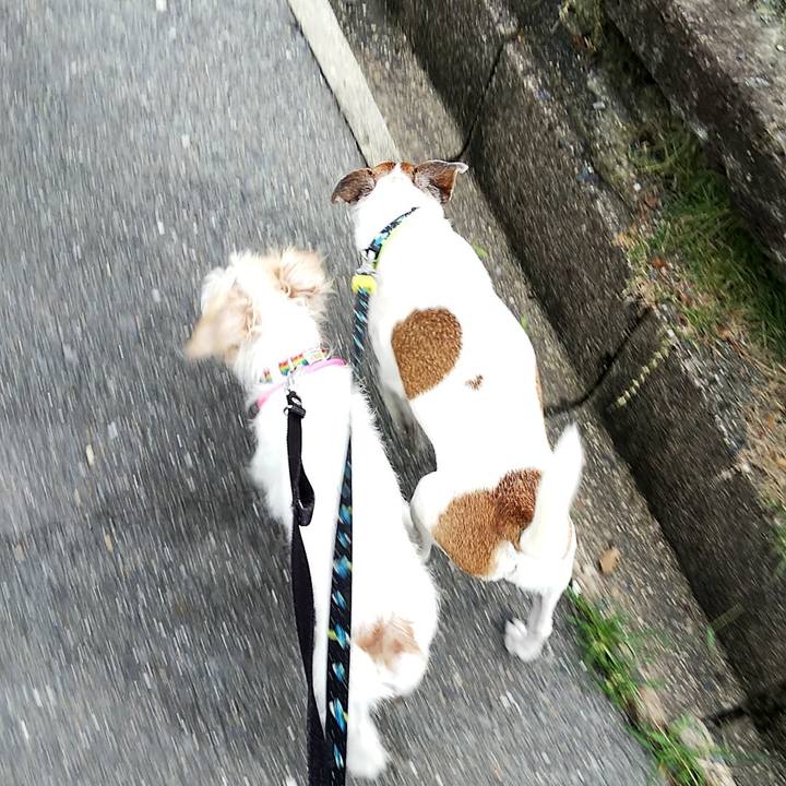 E83f66fe 7a78 4ac1 817d 0eef21d6bc80 1537005036359