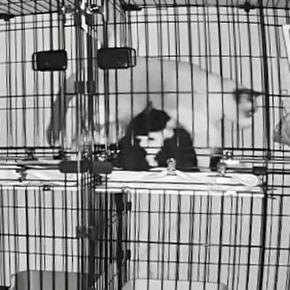 E83f8162 e394 42c6 8553 fff61bb91b22 1733255151433