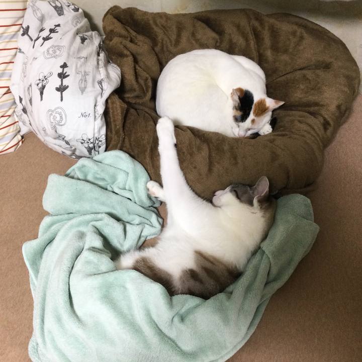 E83ff76b 92d8 4345 b396 720ce6442582 1684813698208