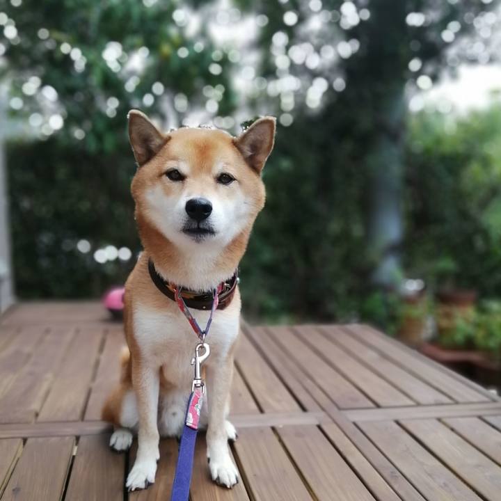 E840231b bd5a 43ad 92f6 5a6746c3d6d3 1603065225834