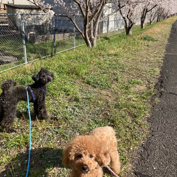 E84059e6 f20e 4bcb ab48 b435994dc3c6 1649313161818