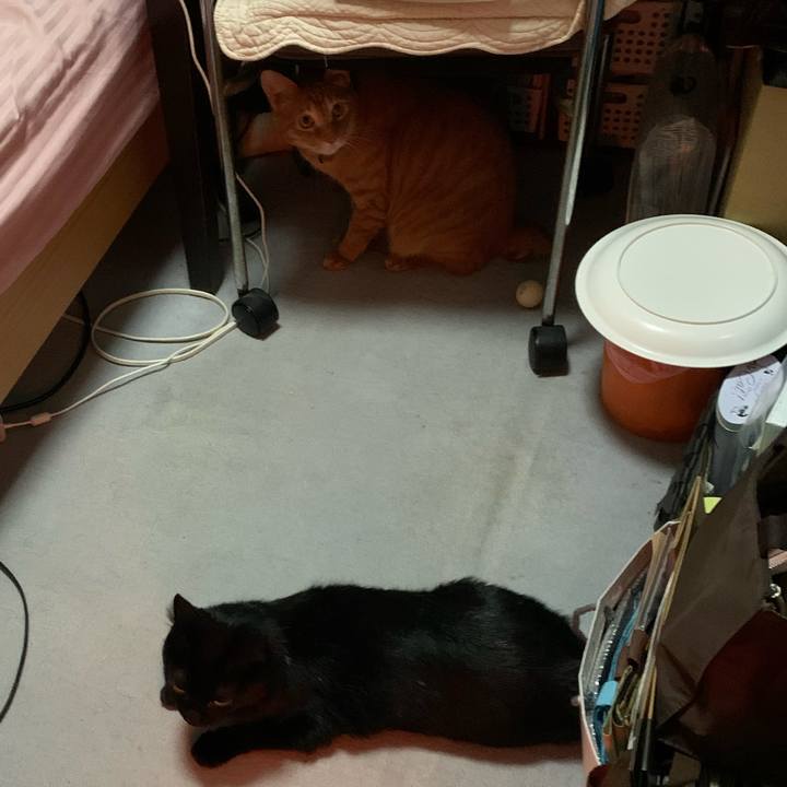 E84064e5 bdc5 41bd a029 3e9d868b1f46 1635206182736