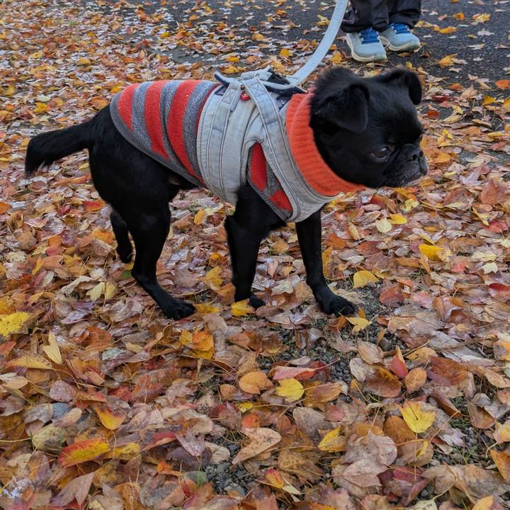 E8409bf2 e12e 4995 874e 4eacb2f7fba7 1764253092283