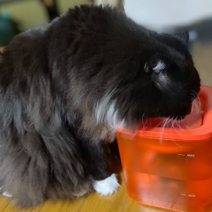 E840ba2d 4da4 4002 b191 12b09d21e4c0 1671922929630