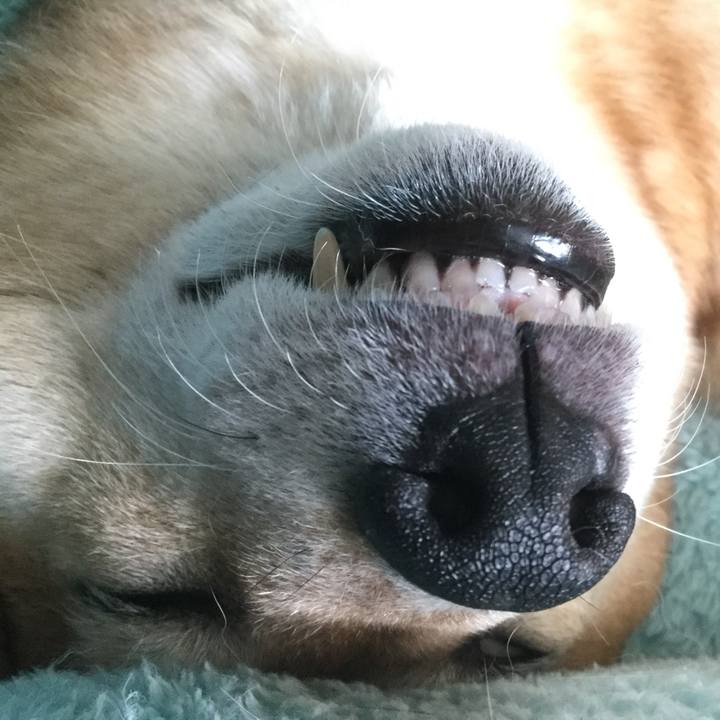 E8410249 4f9d 4425 ab08 798ffd9b7a3a 1559381939518