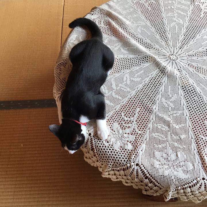 E84108d0 3743 406f 858d f03176da0f1a 1630202856952